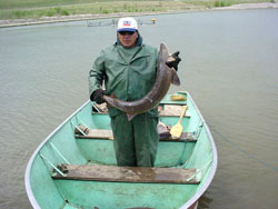 Man in boat holding up sturgeon